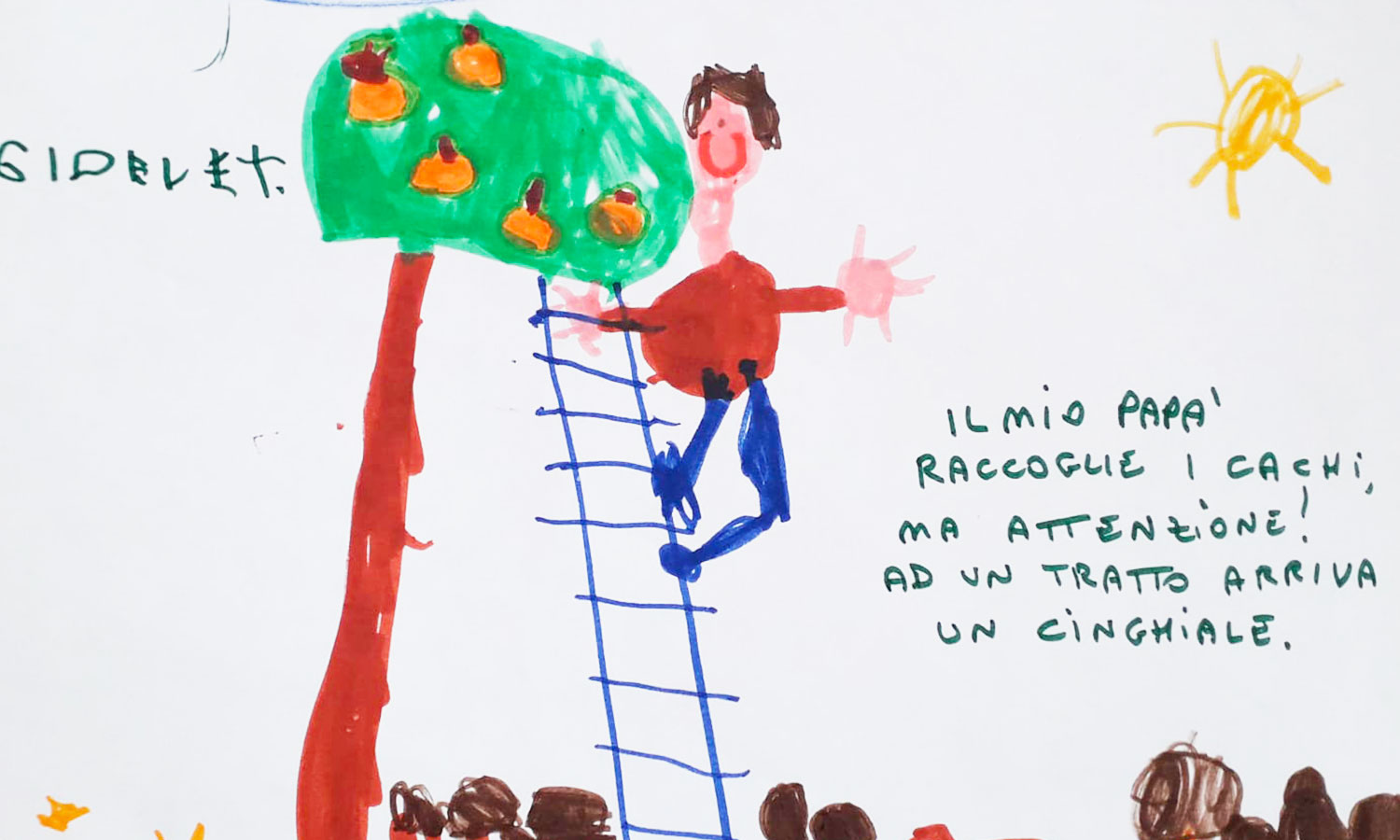 Aimc Asti